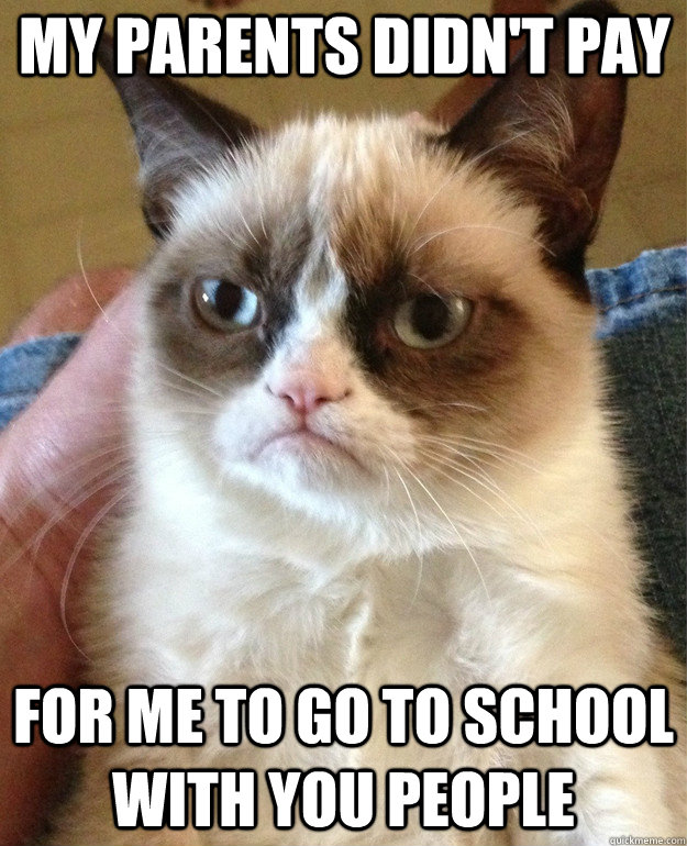 my parents didn't pay for me to go to school with you people  Grumpy Cat