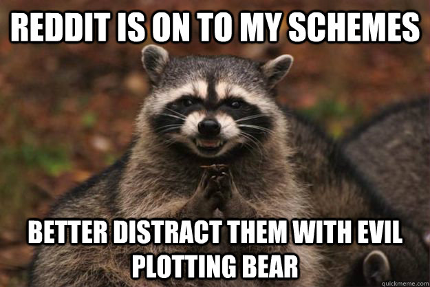 Reddit is on to my schemes better distract them with evil plotting bear  Evil Plotting Raccoon