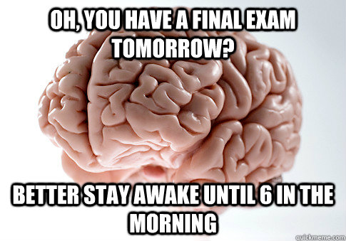 Oh, you have a final exam tomorrow? Better stay awake until 6 in the morning  Scumbag Brain