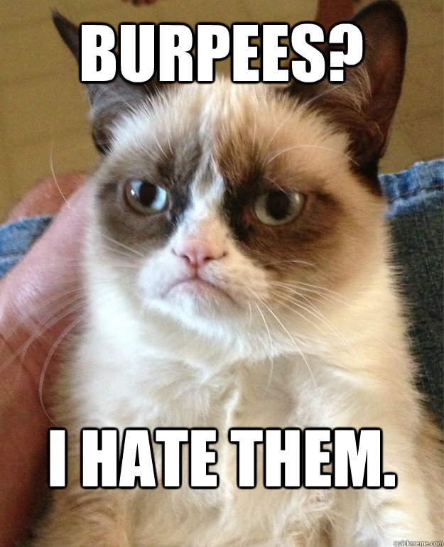 Burpees? I Hate them.  Grumpy Cat