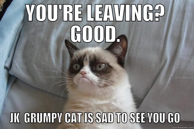 Going Away 2 - YOU'RE LEAVING? GOOD. JK  GRUMPY CAT IS SAD TO SEE YOU GO  Grumpy Cat