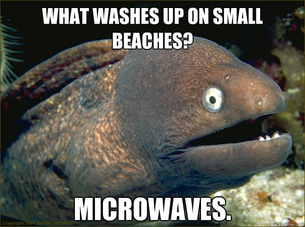 What washes up on small beaches? Microwaves. - What washes up on small beaches? Microwaves.  Bad Joke Eel