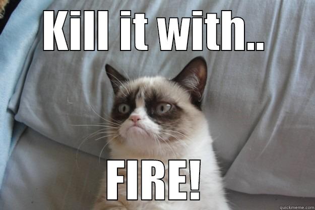 KILL IT WITH.. FIRE! Grumpy Cat