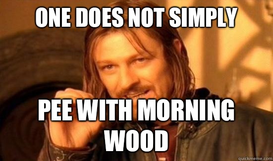 One Does Not Simply Pee with morning wood  Boromir