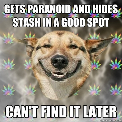 Gets paranoid and hides stash in a good spot can't find it later  Stoner Dog