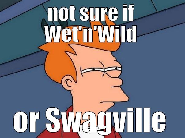 NOT SURE IF WET'N'WILD OR SWAGVILLE Futurama Fry