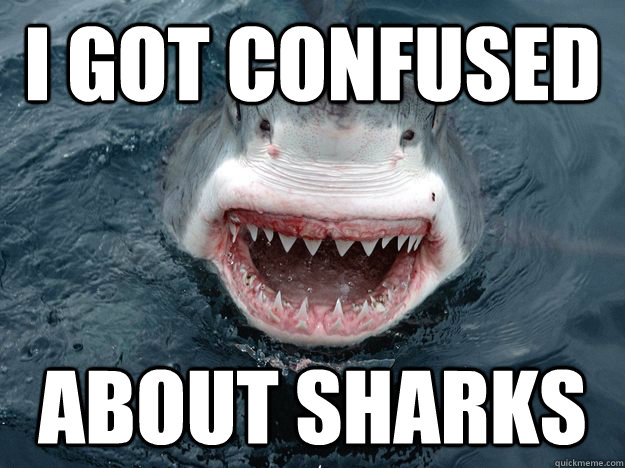 I got confused  about sharks - I got confused  about sharks  Sharky-Shark