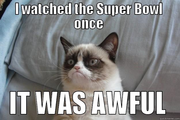 I WATCHED THE SUPER BOWL ONCE IT WAS AWFUL Grumpy Cat