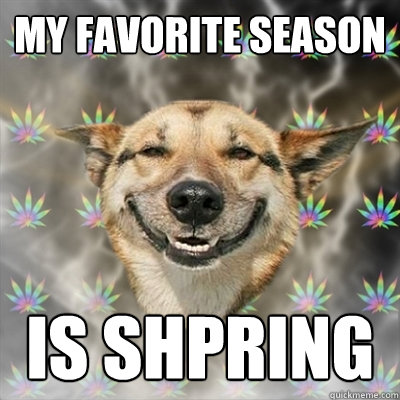 My Favorite Season is Shpring  Stoner Dog