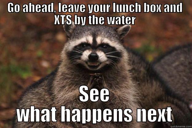 GO AHEAD, LEAVE YOUR LUNCH BOX AND XTS BY THE WATER SEE WHAT HAPPENS NEXT Evil Plotting Raccoon