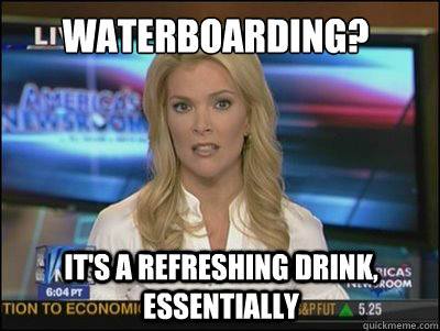 Waterboarding? It's a refreshing drink, essentially  Megyn Kelly