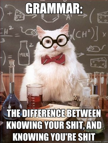 GRAMMAR: THE DIFFERENCE BETWEEN KNOWING YOUR SHIT, AND KNOWING YOU'RE SHIT  Chemistry Cat