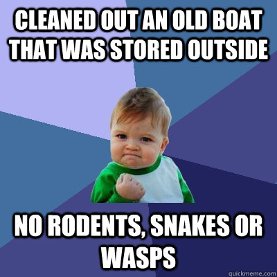 Cleaned out an old boat that was stored outside No rodents, snakes or wasps  Success Kid