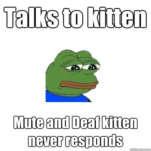 Talks to kitten Mute and Deaf kitten never responds  Sad Frog