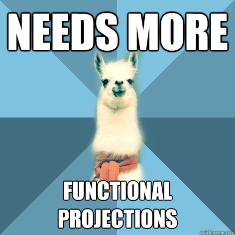 Needs more functional projections  Linguist Llama