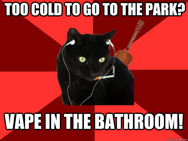 Too cold to go to the park? Vape in the bathroom!  Berklee Cat