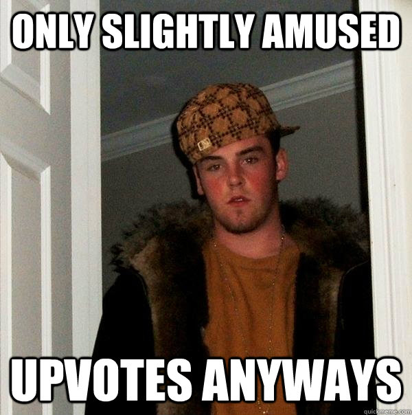 Only Slightly amused Upvotes Anyways  Scumbag Steve