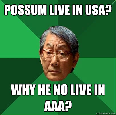 POSSUM LIVE IN USA? WHY HE NO LIVE IN AAA? - POSSUM LIVE IN USA? WHY HE NO LIVE IN AAA?  High Expectations Asian Father