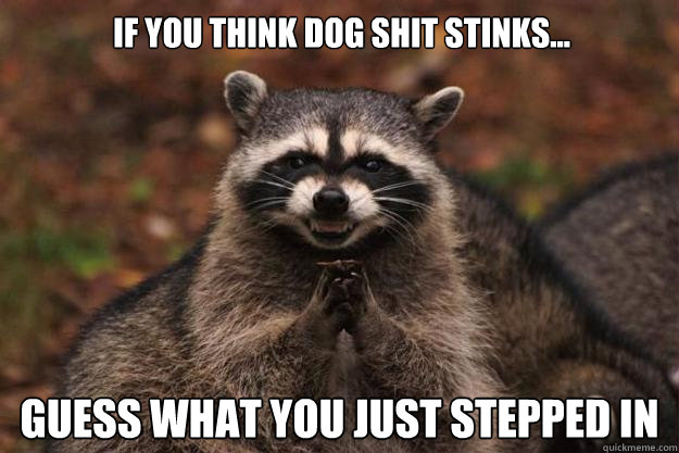 if you think dog shit stinks... guess what you just stepped in  Evil Plotting Raccoon