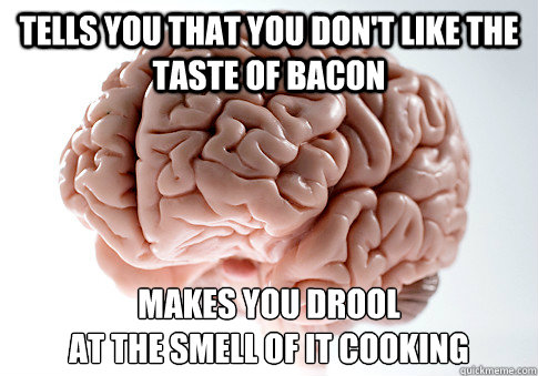 tells you that you don't like the taste of bacon makes you drool
at the smell of it cooking  Scumbag Brain