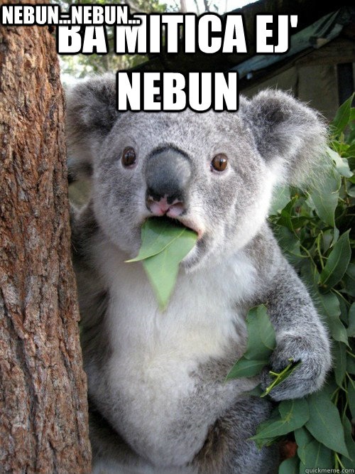 Ba Mitica ej' nebun nebun...nebun...  koala bear