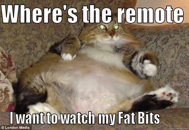 When Fat Cats watch TV - WHERE'S THE REMOTE  I WANT TO WATCH MY FAT BITS        Misc