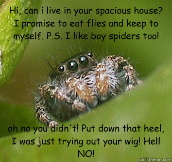 Hi, can i live in your spacious house? I promise to eat flies and keep to myself. P.S. I like boy spiders too! oh no you didn't! Put down that heel, I was just trying out your wig! Hell NO!  Misunderstood Spider