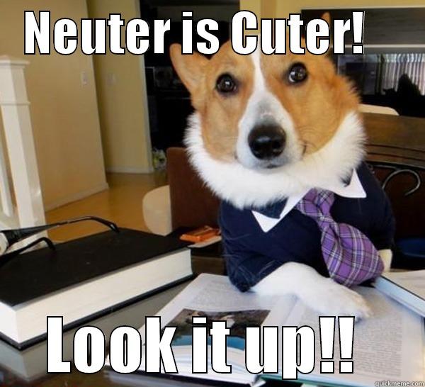   NEUTER IS CUTER!       LOOK IT UP!!  Lawyer Dog