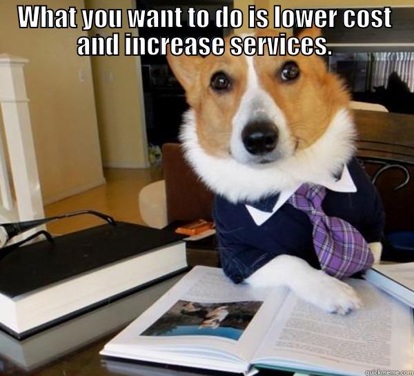 WHAT YOU WANT TO DO IS LOWER COST AND INCREASE SERVICES.  Lawyer Dog