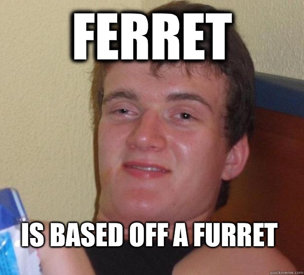 Ferret Is based off a Furret  10 Guy