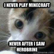 I never play Minecraft Never after i saw Herobrine  