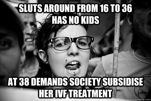 sluts around from 16 to 36           has no kids at 38 demands society subsidise her ivf treatment  Hypocrite Feminist