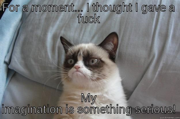 FOR A MOMENT... I THOUGHT I GAVE A FUCK MY IMAGINATION IS SOMETHING SERIOUS! Grumpy Cat