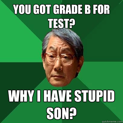 you got grade B for test? why i have stupid son?  High Expectations Asian Father