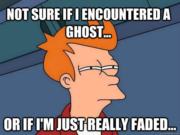 not sure if i encountered a ghost... or if i'm just really faded...  Futurama Fry