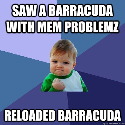 Saw a barracuda with mem problemz Reloaded barracuda  Success Kid