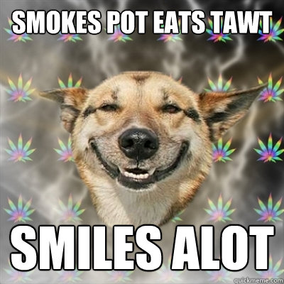 Smokes Pot Eats Tawt Smiles Alot  Stoner Dog