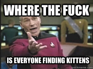 where the fuck is everyone finding kittens  Annoyed Picard