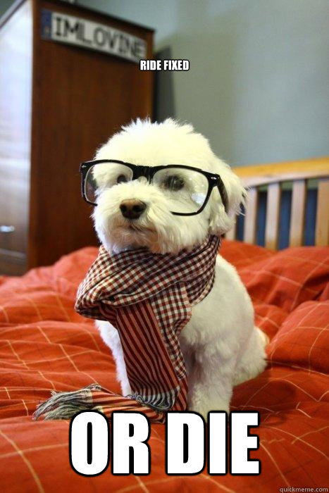 ride fixed or die  Hipster Dog