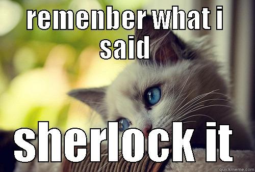 REMENBER WHAT I SAID SHERLOCK IT First World Problems Cat