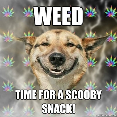 Weed Time for a Scooby Snack!  Stoner Dog