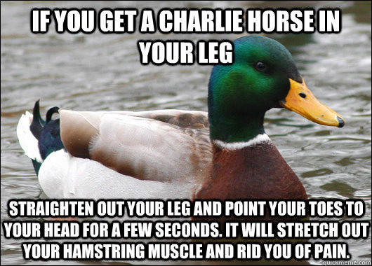 If you get a charlie horse in your leg straighten out your leg and point your toes to your head for a few seconds. it will stretch out your hamstring muscle and rid you of pain. - If you get a charlie horse in your leg straighten out your leg and point your toes to your head for a few seconds. it will stretch out your hamstring muscle and rid you of pain.  Actual Advice Mallard