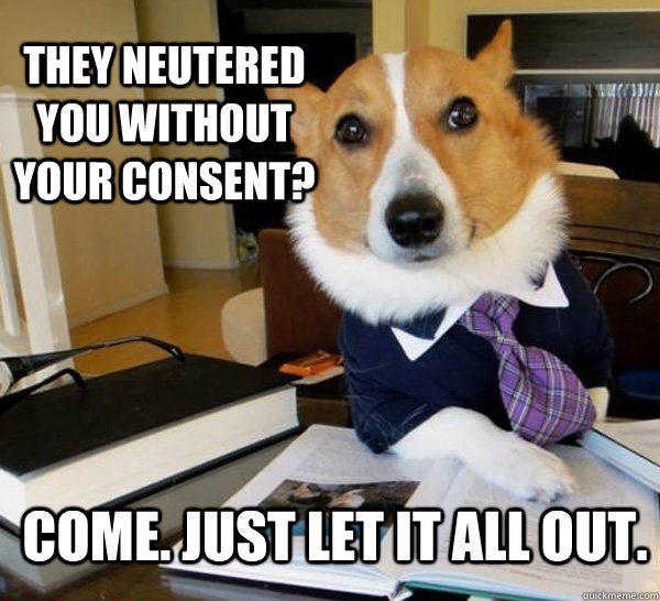 They neutered you without your consent? Come. Just let it all out.  Lawyer Dog