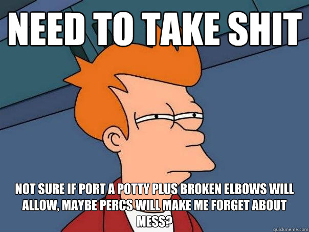 Need to take shit not sure if port a potty plus broken elbows will allow, maybe percs will make me forget about mess?  Futurama Fry