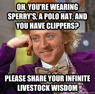 Oh, You're wearing sperry's, a polo hat, and you have clippers? please share your infinite livestock wisdom  Condescending Wonka