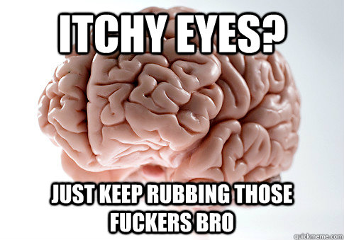 itchy eyes? just keep rubbing those fuckers bro  Scumbag Brain