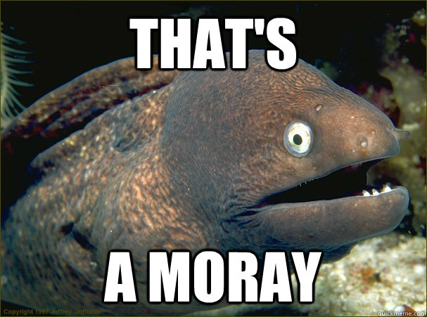 That's A moray - That's A moray  Bad Joke Eel