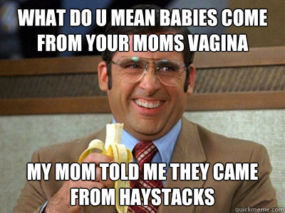 what do u mean babies come from your moms vagina my mom told me they came from haystacks  Brick Tamland