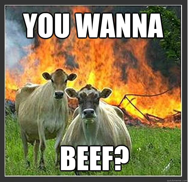 you wanna beef?  Evil cows