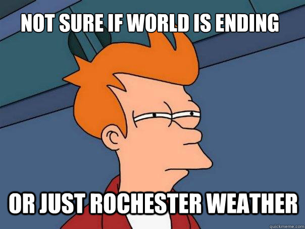 not sure if world is ending or just Rochester weather  Futurama Fry